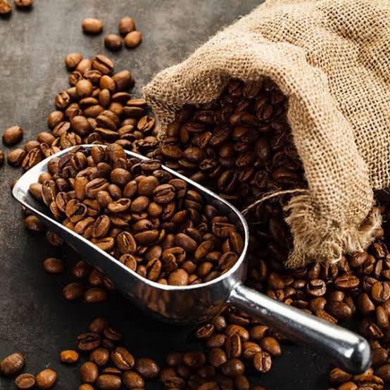 قهوه دان عربیکا