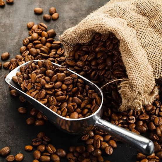 قهوه دان عربیکا